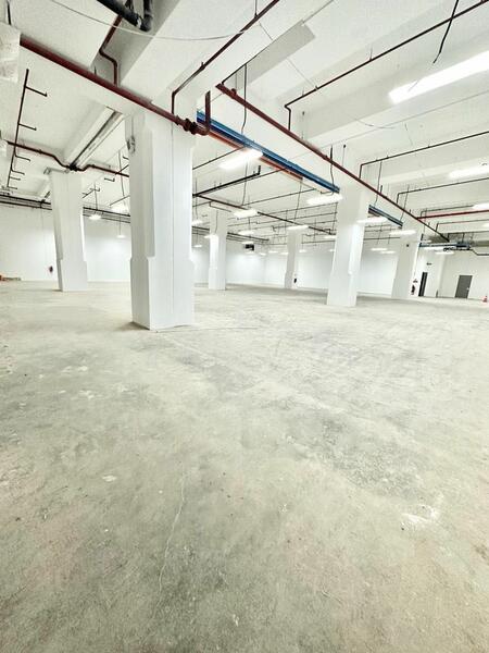 Ground Flr | Many Sizes Avail | 10k-100k sqft @ Alexandra, Alexandra, 10,000 sqft, Light Industrial (B1) For Rent, by Cynthia Yew, 24543699 - CommercialGuru.com.sg