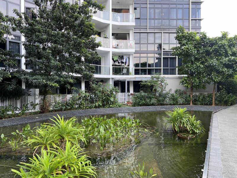 Bio-pond.