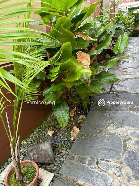 For Rent - Beautiful House with all ensuite n baths and Garden near MRT Eunos/Kembangan/Bedok
