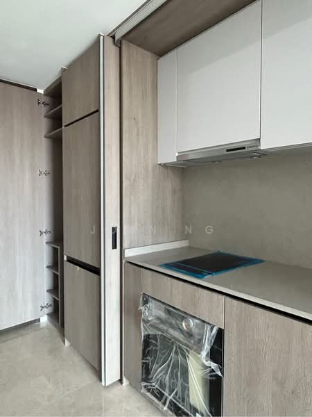 Avenue South Residence, 11 Silat Avenue, 1 Bedroom, 527 sqft, Condominium For Rent, by Joan Ng, 24580170 - PropertyGuru.com.sg