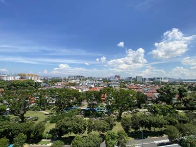 For Sale - Hundred Trees