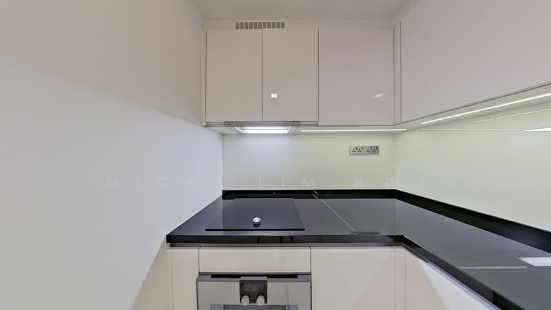 Wallich Residence, 3 Wallich Street, 3 Bedrooms, 1,098 sqft, Condominium For Rent, by Micah Lim 林益才, 24595736 - PropertyGuru.com.sg