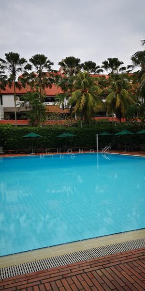 The pool