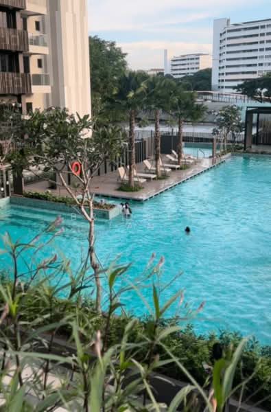 Urban Treasures, 205 Jalan Eunos, 2 Bedrooms, 517 sqft, Condominium For Rent, by Bridget Tan, 24600748 - Lap pool and spa pool - PropertyGuru.com.sg