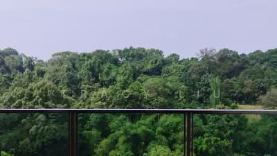 For Rent - Normanton Park