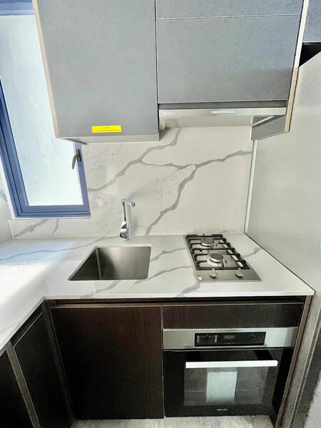 Miele 2hob gas stove and Miele built in oven