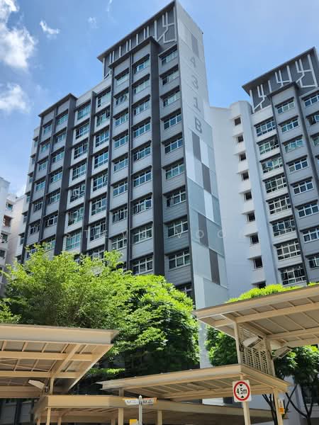 431B Yishun Avenue 1, 431B Yishun Avenue 1, Room Rental, 140 sqft, HDB Flat For Rent, by Steve Voon, 24610598 - PropertyGuru.com.sg