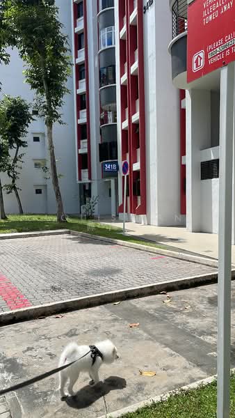77 Indus Road, 77 Indus Road, 1,270 sqft, Shop / Shophouse For Sale, by Louis Tan 陈广平, 24624198 - CommercialGuru.com.sg