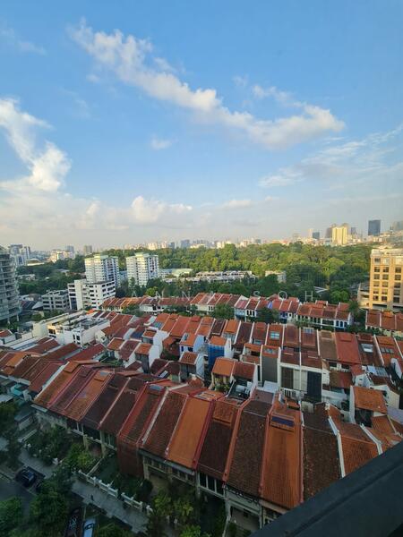 View from Bedroom
