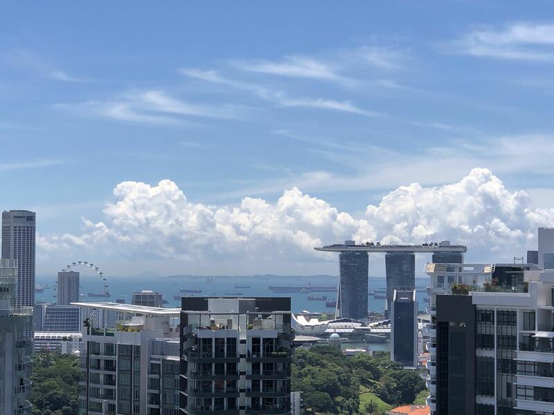 New Futura, 16 Leonie Hill Road, 4 Bedrooms, 2,250 sqft, Condominium For Sale, by Teresa Heng, 24625241 - PropertyGuru.com.sg
