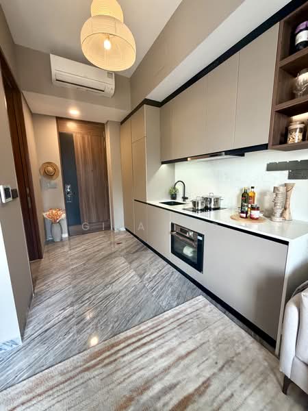 Grange 1866, 74 Grange Rd, 1 Bedroom, 527 sqft, Condominium For Sale, by Gina Tng, 24626026 - PropertyGuru.com.sg