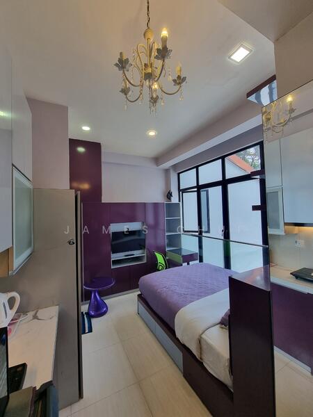 142 Mackenzie Road, Orchard / River Valley, Studio, 250 sqft, Apartment For Rent, by James Chui, 24638085 - PropertyGuru.com.sg