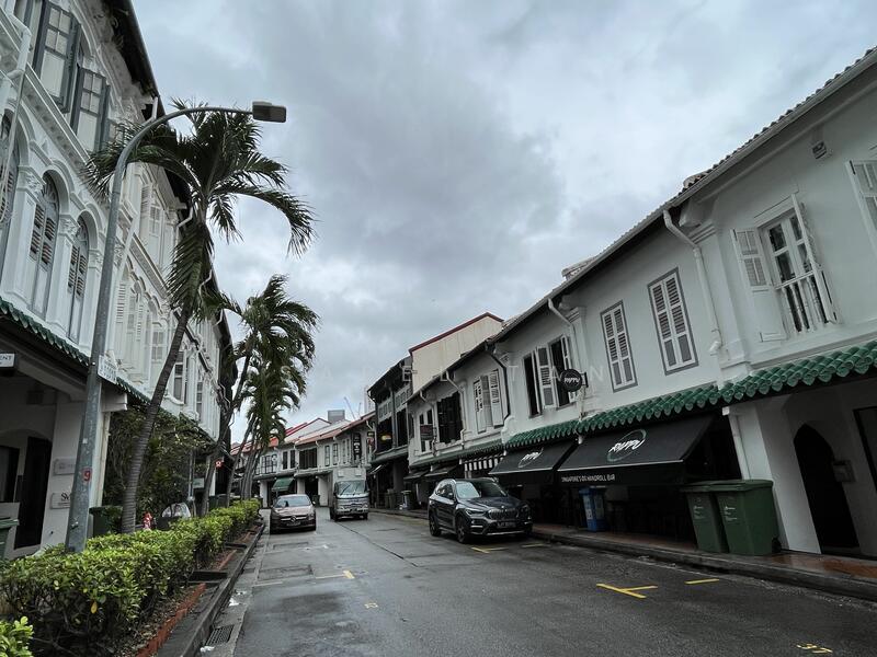 Heritage Tanjong Pagar Conservation, Craig Road,Keong Saik,Duxton Road,Neil Road, 2,100 sqft, Shop / Shophouse For Sale, by Isabel Tan, 24645752 - CommercialGuru.com.sg