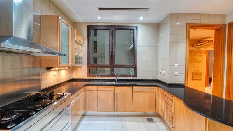 Ardmore Park, 11 Ardmore Park, 4 Bedrooms, 2,885 sqft, Condominium For Rent, by Sam Chin, 24646389 - PropertyGuru.com.sg