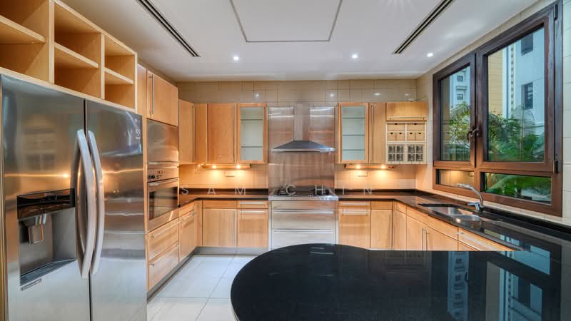Ardmore Park, 11 Ardmore Park, 4 Bedrooms, 2,885 sqft, Condominium For Rent, by Sam Chin, 24646389 - PropertyGuru.com.sg
