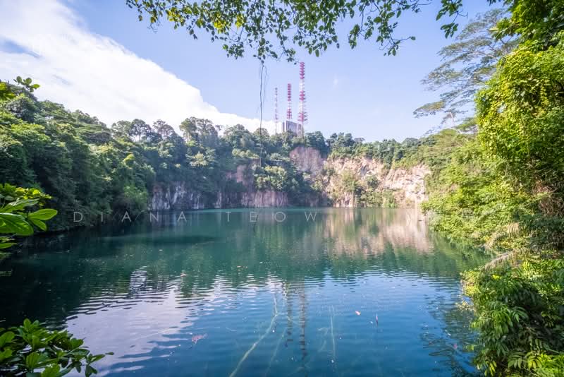 Springdale Condo, 49 Hindhede Walk, 4 Bedrooms, 1,345 sqft, Condominium For Sale, by Diana Teow, 24661875 - PropertyGuru.com.sg