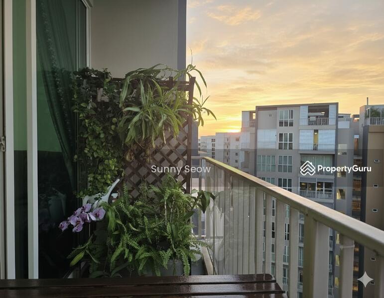 Balcony: Sunset view