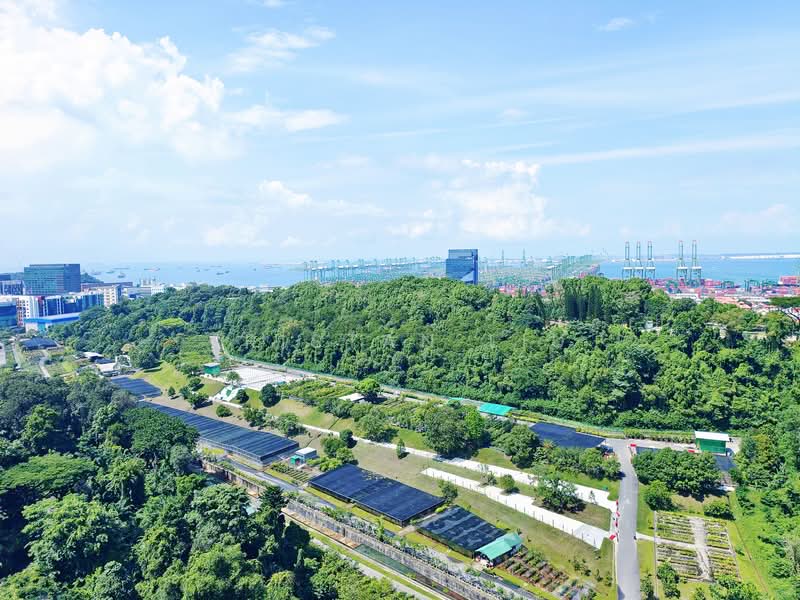 Normanton Park, 49 Normanton Park, 3 Bedrooms, 1,098 sqft, Condominium For Rent, by Tristan Liu, 24675219 - PropertyGuru.com.sg