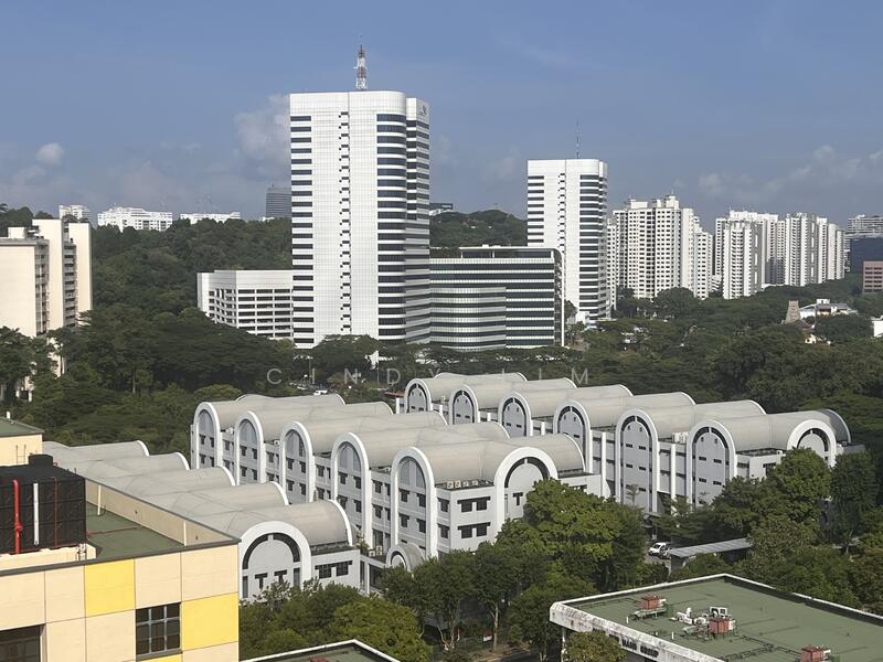 Henderson Industrial Park, 213 Henderson Road, 2,150 sqft, Light Industrial (B1) For Rent, by Cindy Lim, 24687559 - CommercialGuru.com.sg