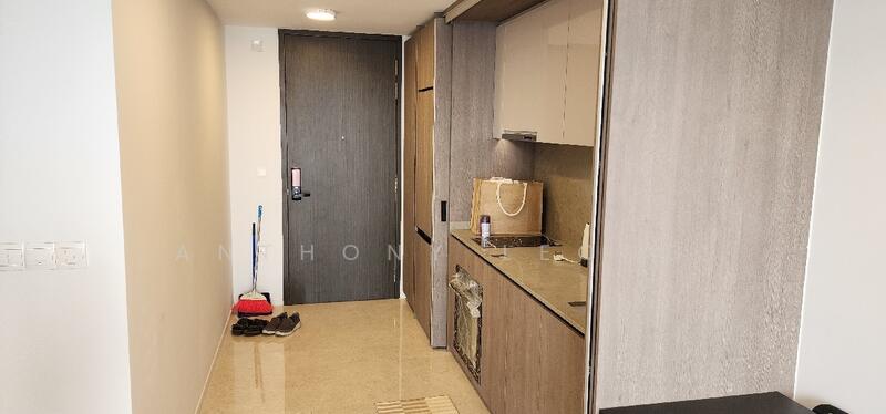 Avenue South Residence, 11 Silat Avenue, 1 Bedroom, 527 sqft, Condominium For Rent, by Anthony Leong, 24688016 - PropertyGuru.com.sg
