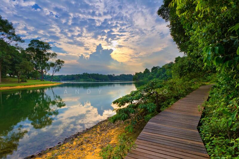 For Sale - Perfect Place For Home Owners Who Love To Stay Near Nature Reserve