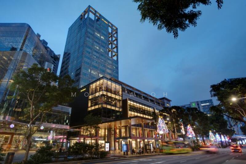 The Heeren, 260 Orchard Road, 5,060 sqft, Office For Rent, by Monica Oh, 24696311 - CommercialGuru.com.sg