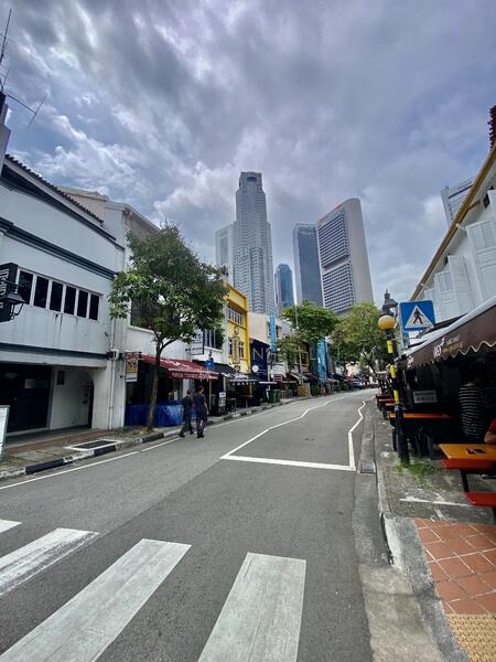 Various Freehold Chinatown/Keong Saik/Pagoda Street/Jalan Besar/Tanjong Pagar Conservation Shophouse, Pagoda Street/Chinatown/ Craig Road / Tanjong Pagar, Boat Quay / Raffles Place / Marina, 4,000 sqft, Shop / Shophouse For Sale, by Jeslyn Lim 林瑞香, 24698920 - CommercialGuru.com.sg