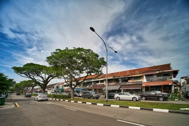 Landed whole unit with pool and lift for rent, 503 Changi Road, 5 Bedrooms, 4,364 sqft, Good Class Bungalow For Rent, by Sherilyn Tan, 24700605 - PropertyGuru.com.sg