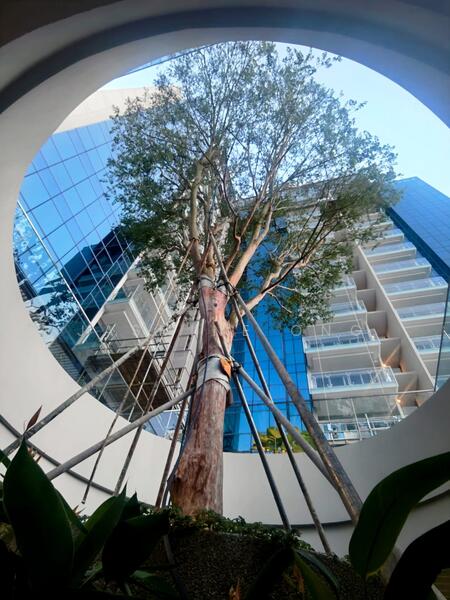 For Rent - Wilshire Residences