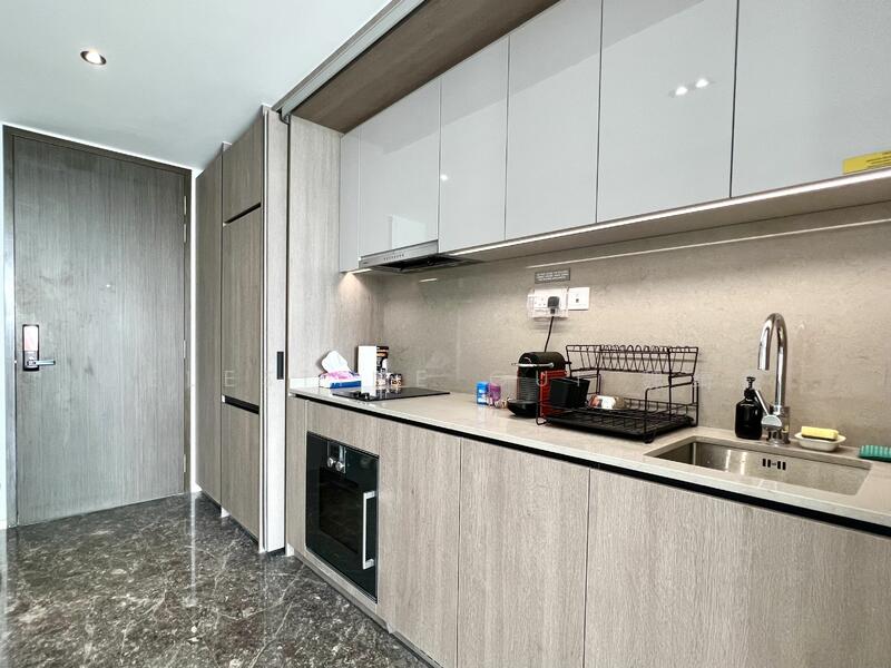 Avenue South Residence, 1 Silat Avenue, 1 Bedroom, 527 sqft, Condominium For Rent, by Celestine Gui 魏绮霞, 24704405 - PropertyGuru.com.sg