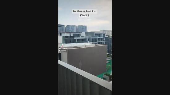 Stratum, 80 Elias Road, Pasir Ris / Tampines, Studio, 473 sqft, Condominium For Rent, by Michael Wong, 24705056 - PropertyGuru.com.sg