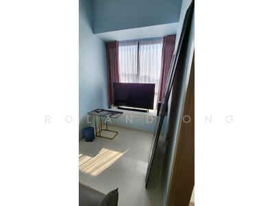 For Sale - Sycamore Tree