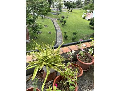 For Sale - Kensington Park