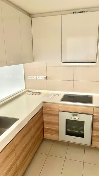 WaterScape @ Cavenagh, 65E Cavenagh Road, 3 Bedrooms, 1,399 sqft, Apartment For Rent, by Alvin Lee, 24716384 - PropertyGuru.com.sg