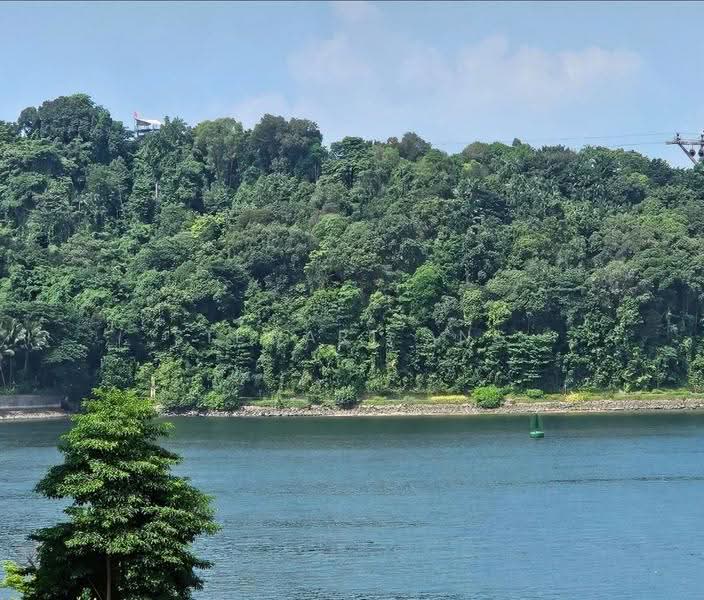 Caribbean at Keppel Bay, 44 Keppel Bay Drive, Harbourfront / Telok Blangah, 2 Bedrooms, 883 sqft, Condominium For Sale, by Stewart Ang, 24717509 - PropertyGuru.com.sg