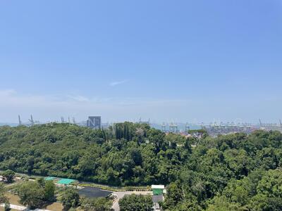 For Rent - Normanton Park