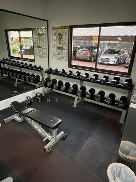 Windy Heights, 80 Jalan Daud, Room Rental, 250 sqft, Condominium For Rent, by Irene Cheng, 24729450 - PropertyGuru.com.sg