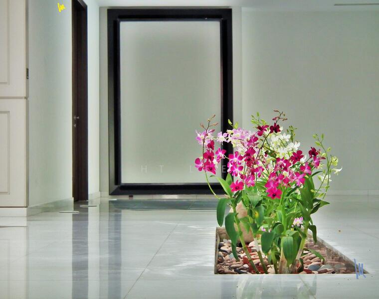 For Rent - The Atrium House of Bukit Timah. Full of Natural Light!Professional Cinema Room