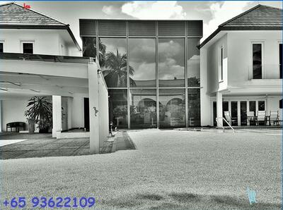 For Rent - The Atrium House of Bukit Timah. Full of Natural Light!Professional Cinema Room