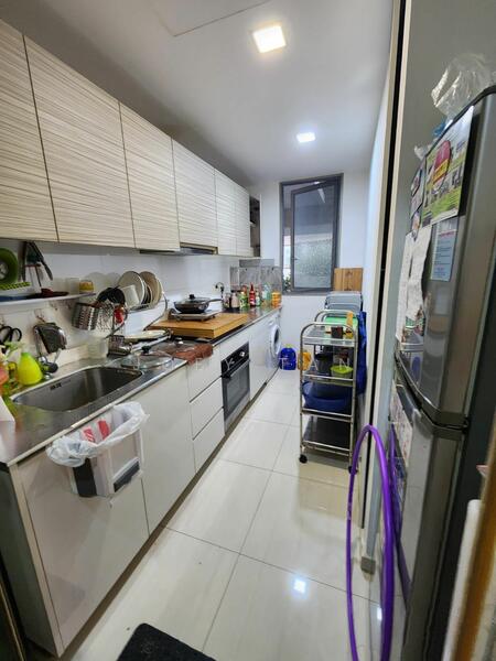 Terrasse, 33 Terrasse Lane, 2 Bedrooms, 958 sqft, Condominium For Rent, by Joey Tan, 24747328 - PropertyGuru.com.sg