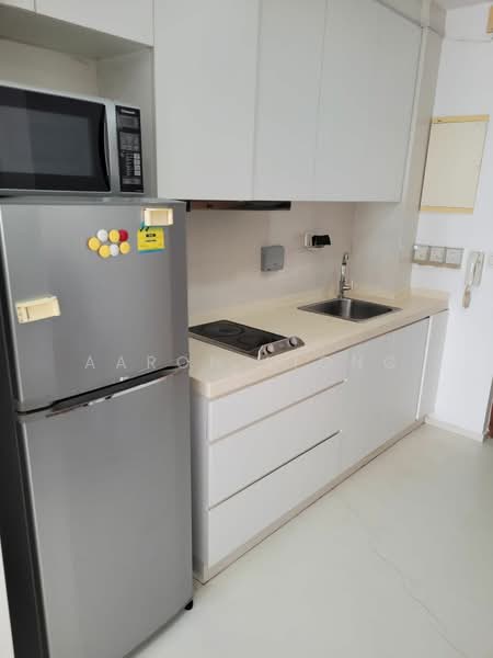 Urban Lofts, 89 Rangoon Road, 1 Bedroom, 420 sqft, Condominium For Rent, by Aaron Liong, 24747608 - PropertyGuru.com.sg