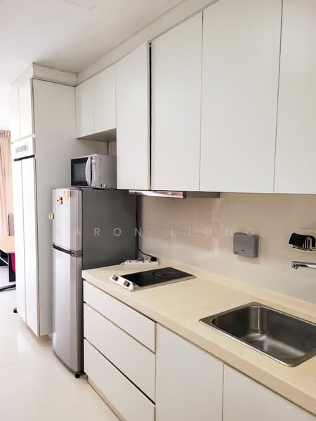 Urban Lofts, 89 Rangoon Road, 1 Bedroom, 420 sqft, Condominium For Rent, by Aaron Liong, 24747608 - PropertyGuru.com.sg