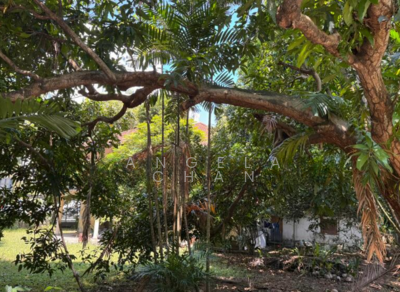 For Sale - Tanjong Rhu road