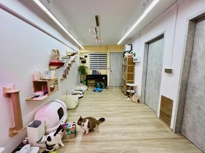 For Rent - 252 Jurong East Street 24