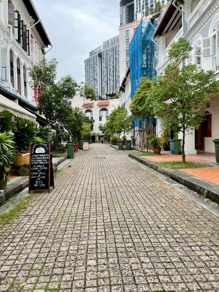 Duxton Hill, Duxton Hill, Chinatown / Tanjong Pagar, 4,500 sqft, Shop / Shophouse For Sale, by Gina Chye, 24754363 - CommercialGuru.com.sg