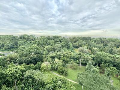 For Rent - Normanton Park