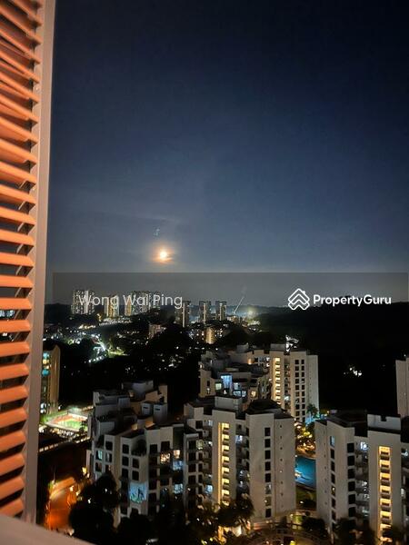Full moon night