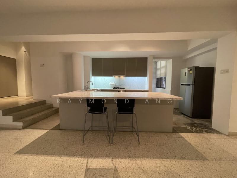 Cavenagh Court, 151 Cavenagh Road, Orchard / River Valley, 3 Bedrooms, 1,819 sqft, Apartment For Rent, by Raymond Ang, 24775029 - PropertyGuru.com.sg