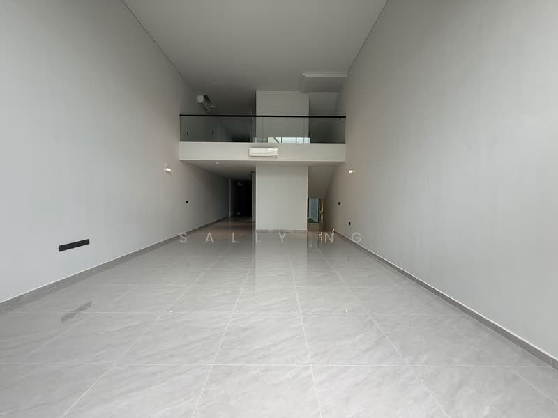 Exquisite Huge Brand New house with more than 10,000sqft space, near Tao Nan Terraced House For Sale at S$ 9,580,000 | PropertyGuru Singapore