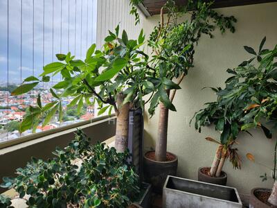 For Sale - Ocean Park